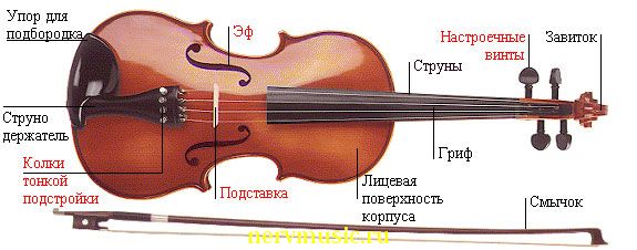 Скрипка | Музыкальная энциклопедия от А до Я | Музыкальные инструменты