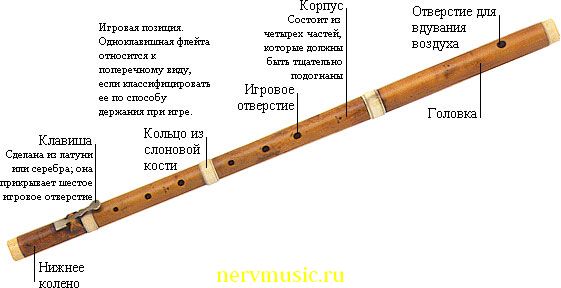 Одноклавишная флейта | Музыкальная энциклопедия от А до Я | Музыкальные инструменты