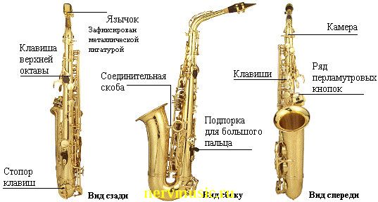 Альтовый саксофон | Музыкальная энциклопедия от А до Я | Музыкальные инструменты