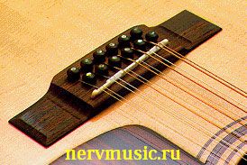 12-струнная гитара | Музыкальная энциклопедия от А до Я | Музыкальные инструменты