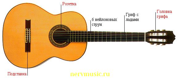 Традиционная гитара | Музыкальная энциклопедия от А до Я | Музыкальные инструменты